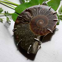 Cephalopoda, witness history pendant in sterling silver and fossilized ammonite