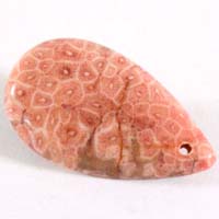 fossilized pink coral A cabochon
