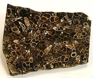 The history, benefits and virtues of Fossil agate or turitella agate