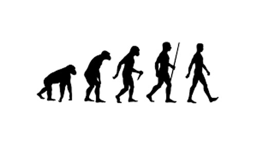 The evolution of man according to Darwin’s theory