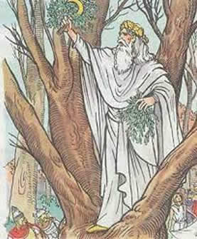 Romantic depiction of a druid picking mistletoe