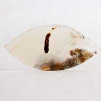 horse canyon agate cabochon