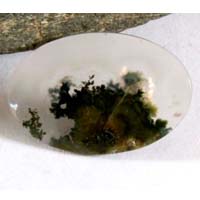 moss agate A cabochon