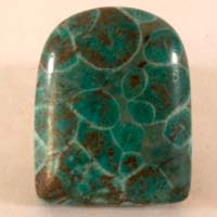 fossilized blue coral cabochon