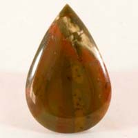 owyhee jasper B cabochon