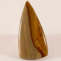 owyhee jasper C cabochon