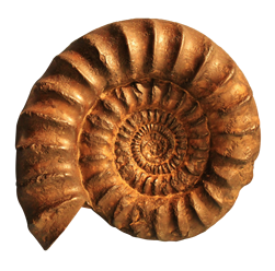 The history, benefits and virtues of ammonite