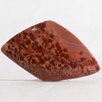 apache rhyolite A cabochon