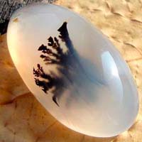 dendritic agate D cabochon