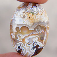mexican crazy lace agate O cabochon