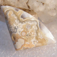 mexican crazy lace agate W cabochon