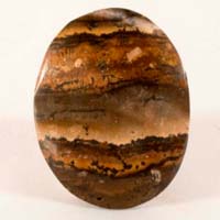 picture jasper B cabochon