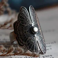 Butterfly lovers