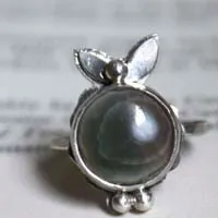 Calliope