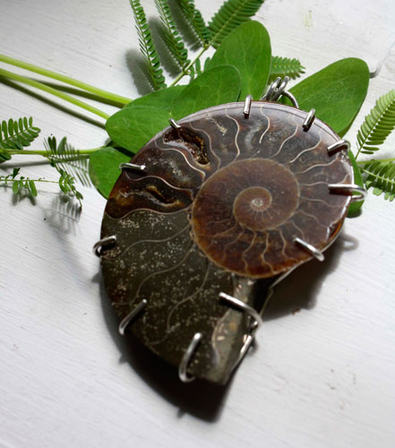 Cephalopod, witness to history pendant in silver and ammonite