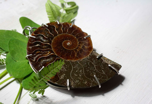Cephalopod, witness to history pendant in silver and ammonite