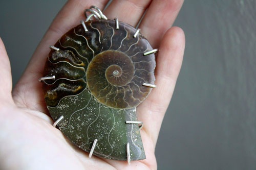 Cephalopod, witness to history pendant in silver and ammonite