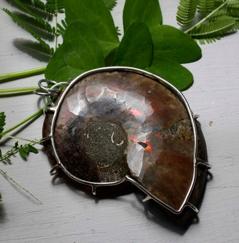 Cephalopod, witness to history pendant in silver and ammonite