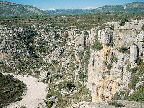 Cave painting Barranc de la Valltorta in Spain