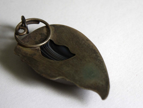 Eagle eye, raptor head pendant in silver and Botswana agate