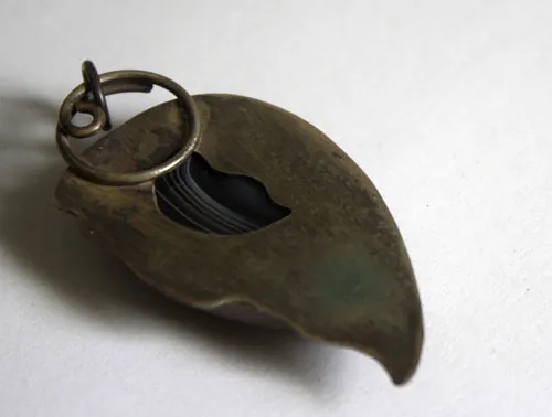 Eagle eye, raptor head pendant in silver and Botswana agate