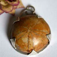 Echinoidea, earth’s history pendant in silver and fossilized sea urchin