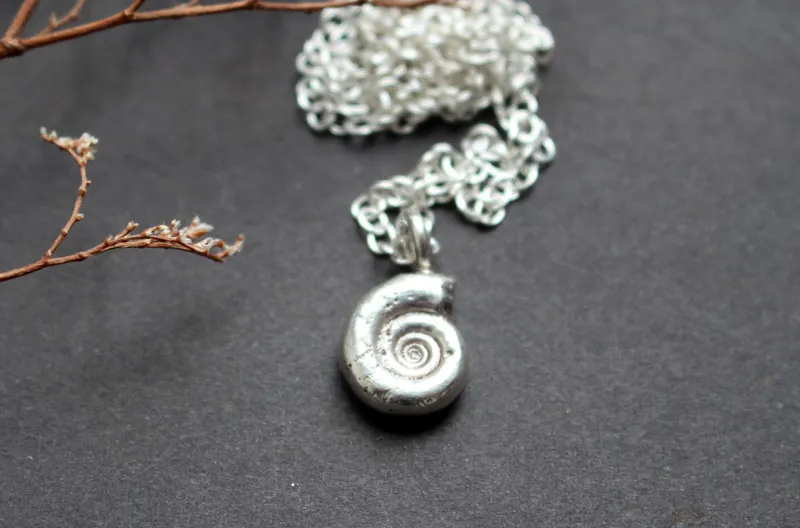 Eoderoceras Ammonite, Jurassic fossil necklace in sterling silver