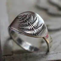 Fern sprout