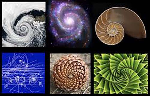 Fibonacci, the mathematical sequence signet ring in silver
