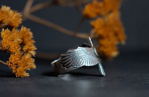 Follow your destiny, raven and crescent moon ring in silver