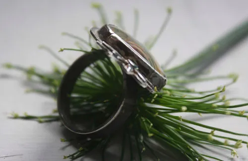 Nénufar, pond, water lily and lotus ring in silver and royal imperial jasper
