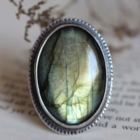 On the other side, fern and mirror ring in sterling silver and labradorite