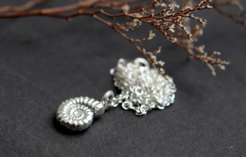 Promicroceras Ammonite, paleontology fossil necklace in sterling silver