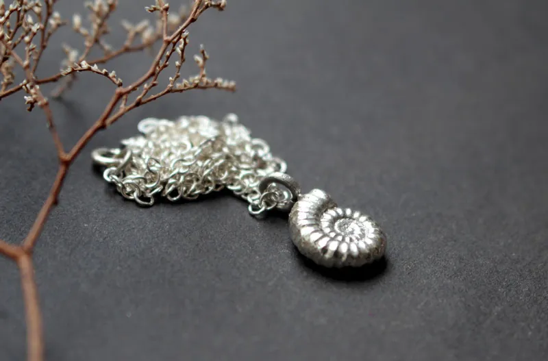 Promicroceras Ammonite, paleontology fossil necklace in sterling silver