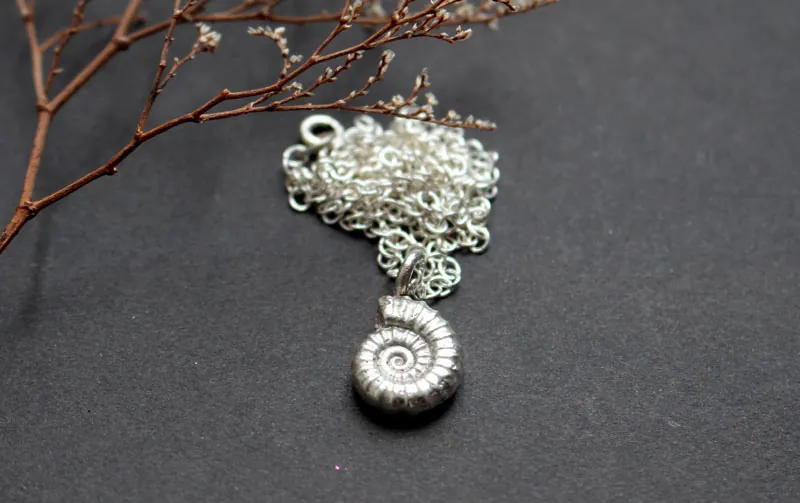 Promicroceras Ammonite, paleontology fossil necklace in sterling silver