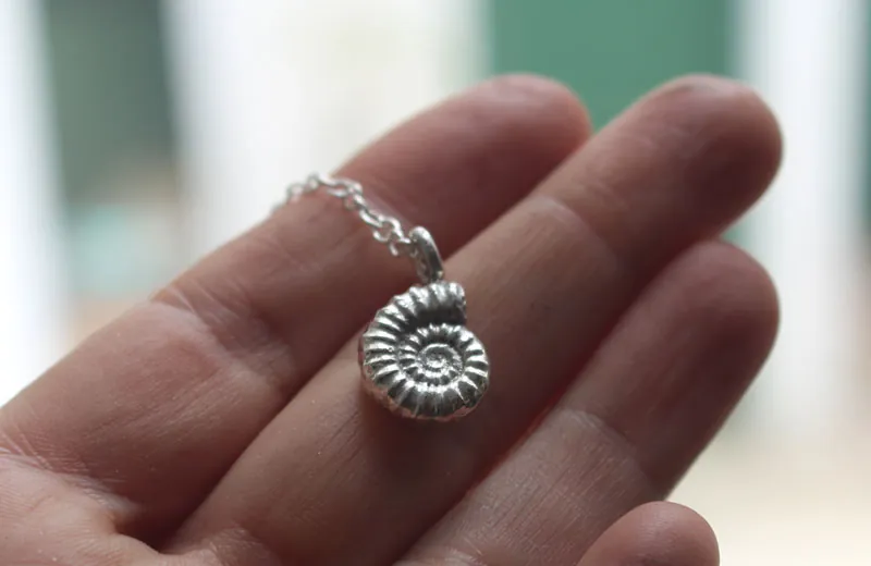 Promicroceras Ammonite, paleontology fossil necklace in sterling silver