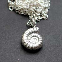 Promicroceras ammonite, paleontology fossil necklace in sterling silver