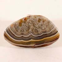 Mexican Crazy Lace agate B cabochon