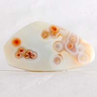 Ocean jasper G cabochon