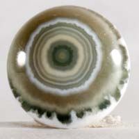 Ocean jasper H cabochon