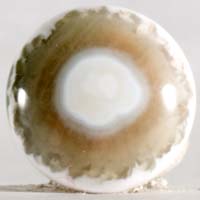 Ocean jasper K cabochon