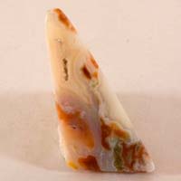 Ocean jasper A cabochon