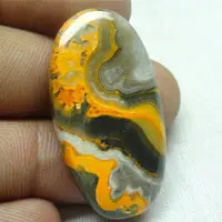 Bumblebee jasper F cabochon