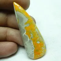 Bumblebee jasper H cabochon