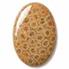 Our coral cabochons