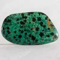 Dalmatian jasper cabochon
