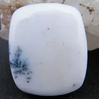 Dendritic agate C cabochon