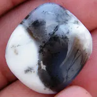 Dendritic agate E