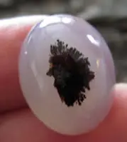Dendritic agate F