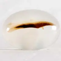 Dendritic agate H cabochon